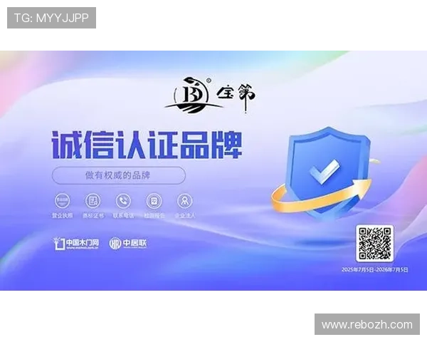 中国体育器械十大品牌在国内外市场的竞争优势与品牌影响力分析